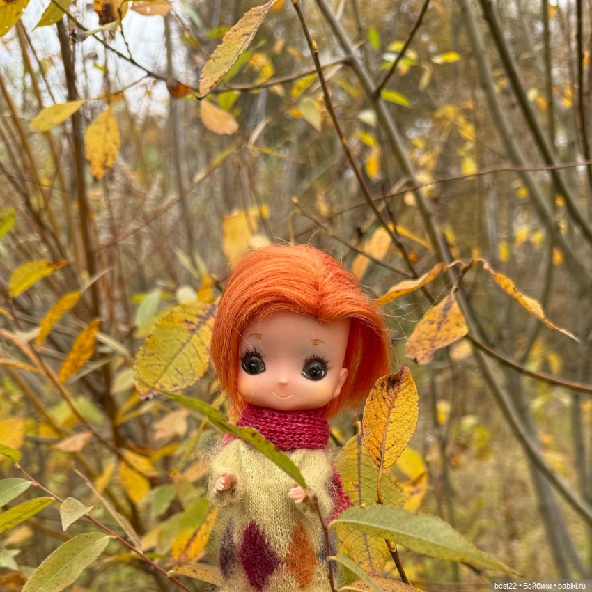 Лизка. Октябрь, ноябрь 2024 (фото 3)