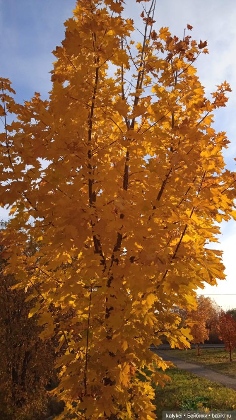Кураж. Ответственное задание (фото 2)