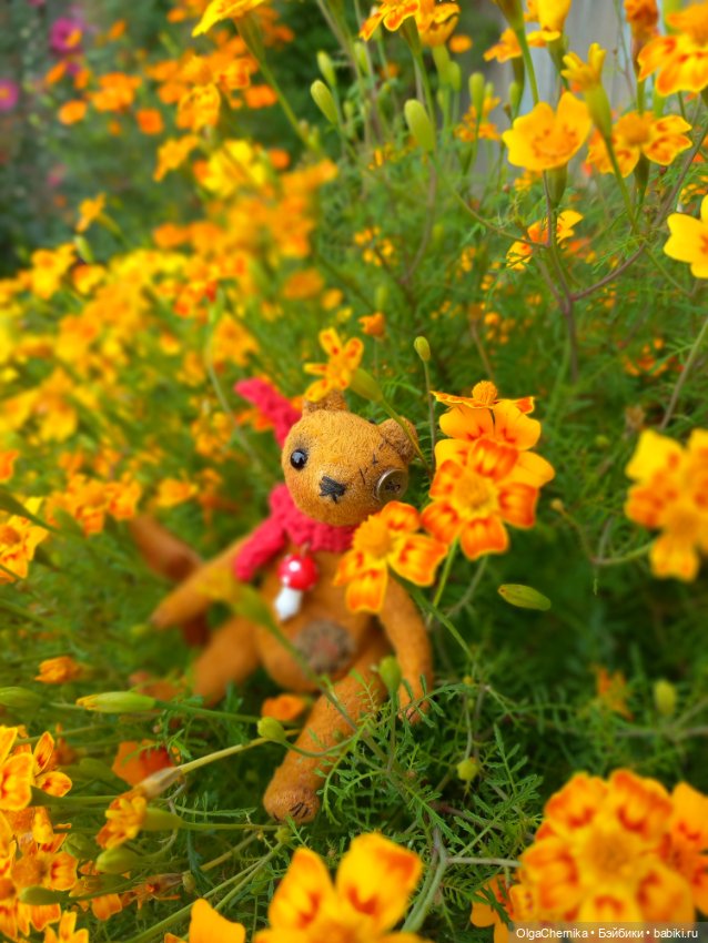 Фредди с пуговицей — Домашние фото авторских игрушек: Тедди (фото 2)