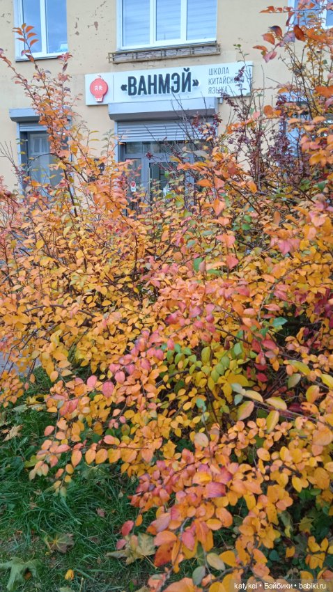 Кураж. Ответственное задание