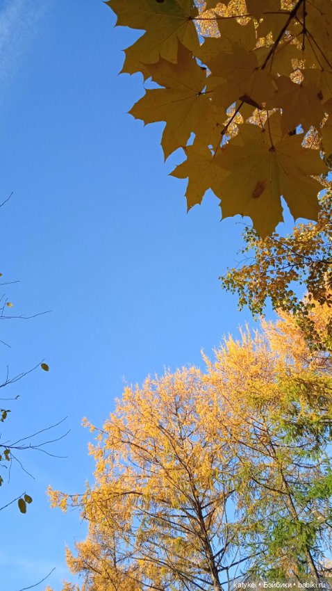 Кураж. Ответственное задание