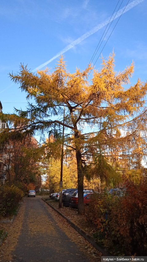 Кураж. Ответственное задание