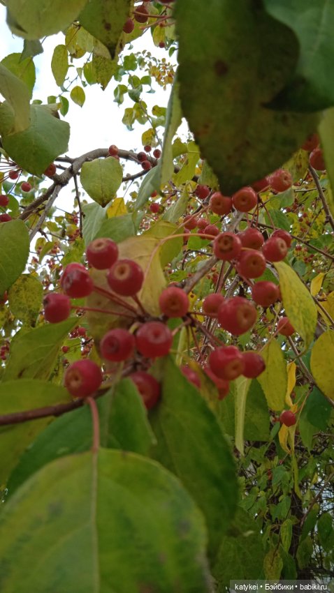 Кураж. Ответственное задание