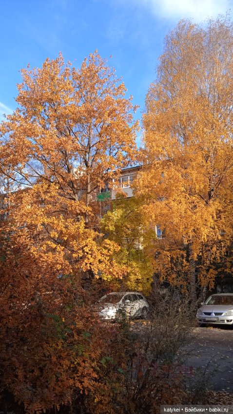 Кураж. Ответственное задание