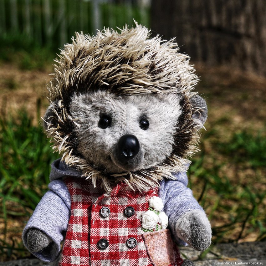 Забавный Ёжик в клетчатой курточке (фото 8)