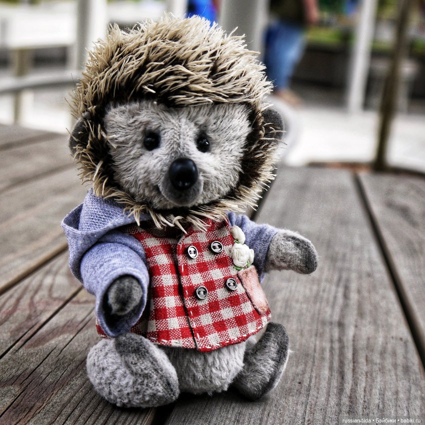 Забавный Ёжик в клетчатой курточке (фото 9)