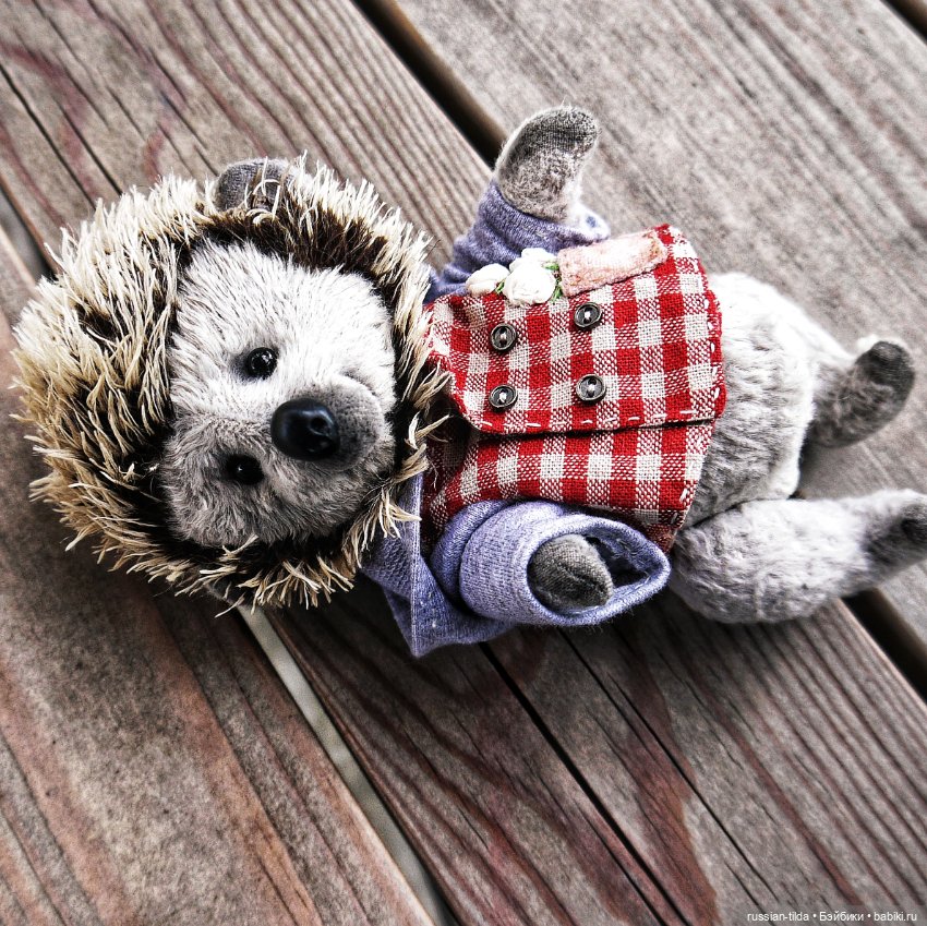 Забавный Ёжик в клетчатой курточке (фото 7)