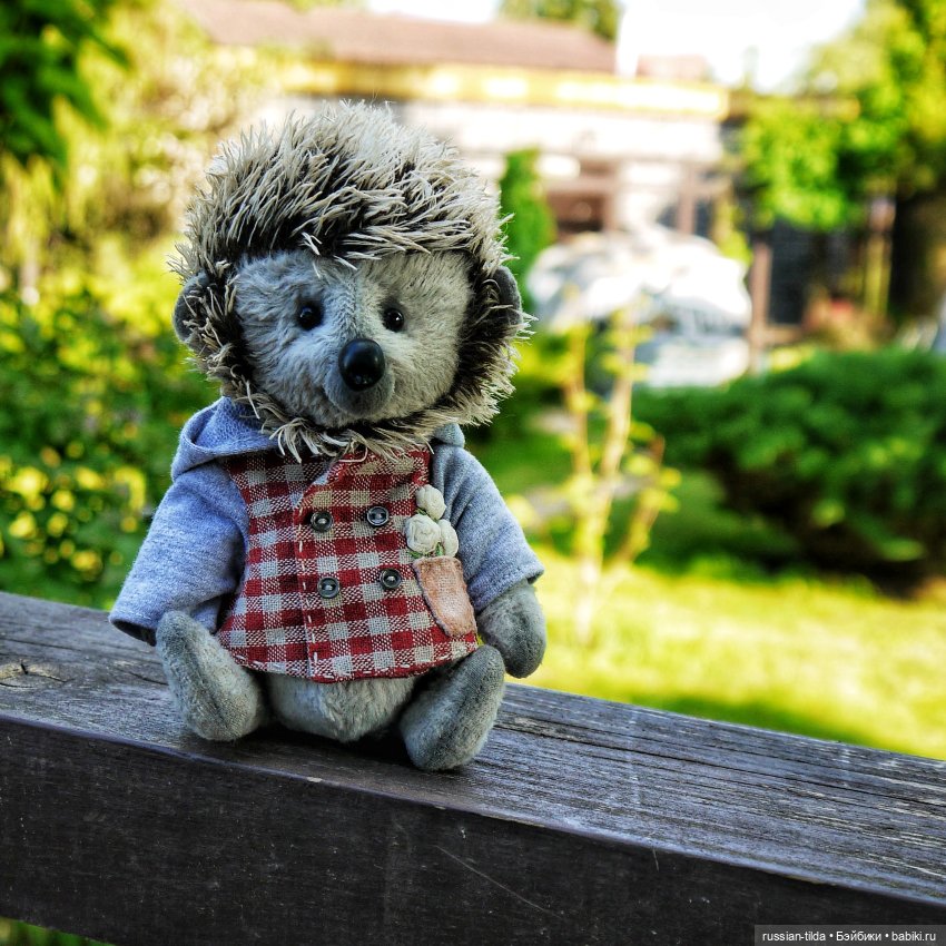 Забавный Ёжик в клетчатой курточке (фото 4)