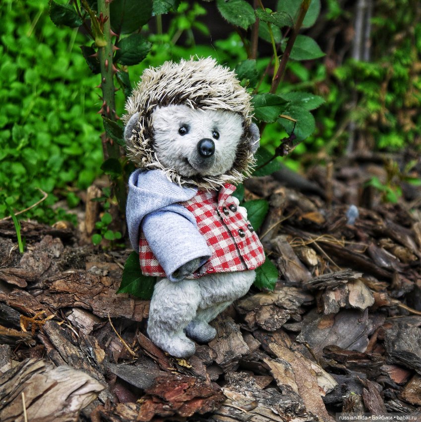 Забавный Ёжик в клетчатой курточке (фото 3)