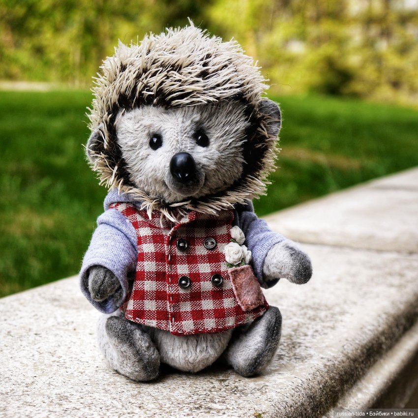 Забавный Ёжик в клетчатой курточке