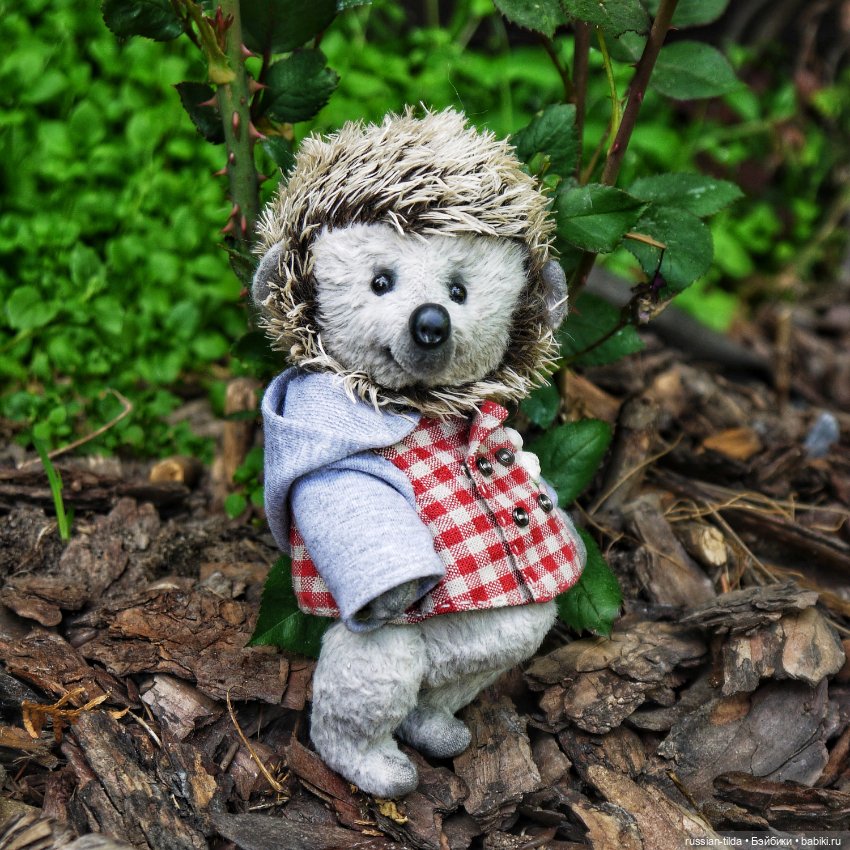 Забавный Ёжик в клетчатой курточке (фото 5)