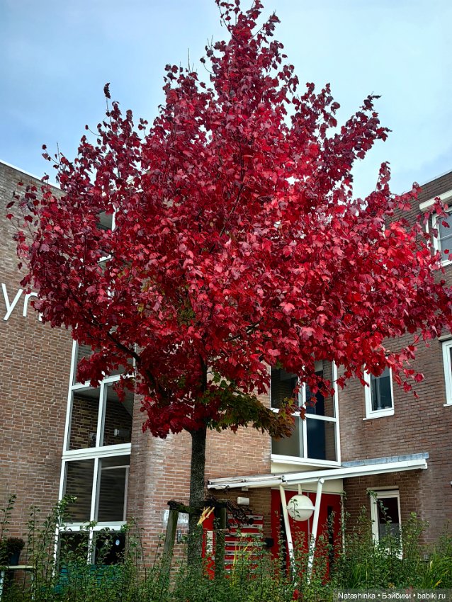 Музыкальная История 161 — Туризм и путешествия: фотоотчеты из поездок (фото 7)