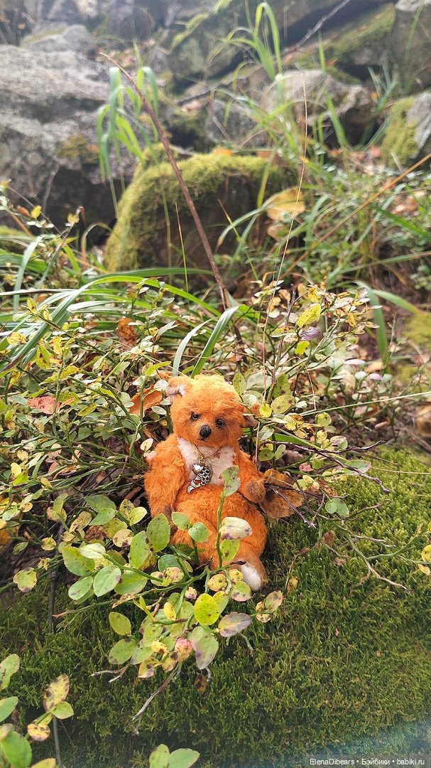 Тедди и путешествия — Авторские мишки Тедди и друзья: фото (фото 7)