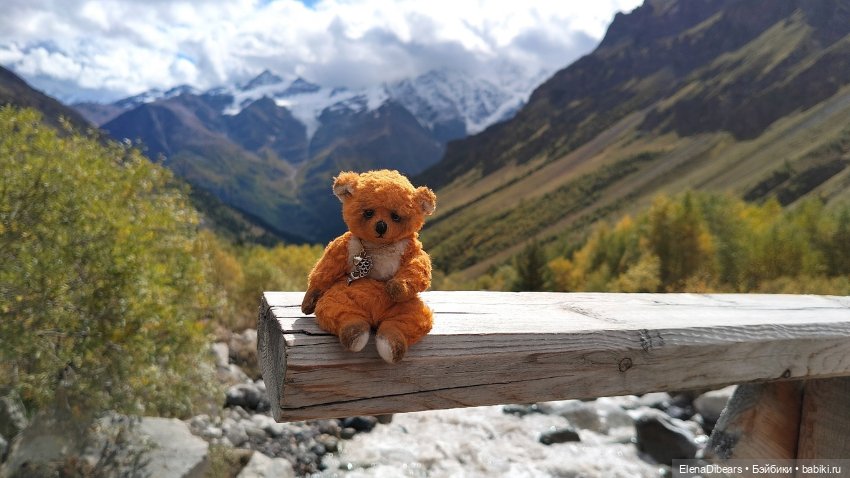 Тедди и путешествия — Авторские мишки Тедди и друзья: фото