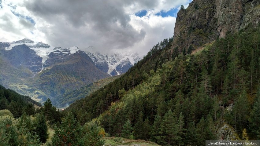 Тедди и путешествия — Авторские мишки Тедди и друзья: фото