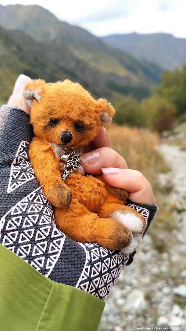 Тедди и путешествия — Авторские мишки Тедди и друзья: фото (фото 2)