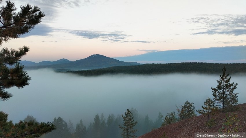 Тедди и путешествия — Авторские мишки Тедди и друзья: фото