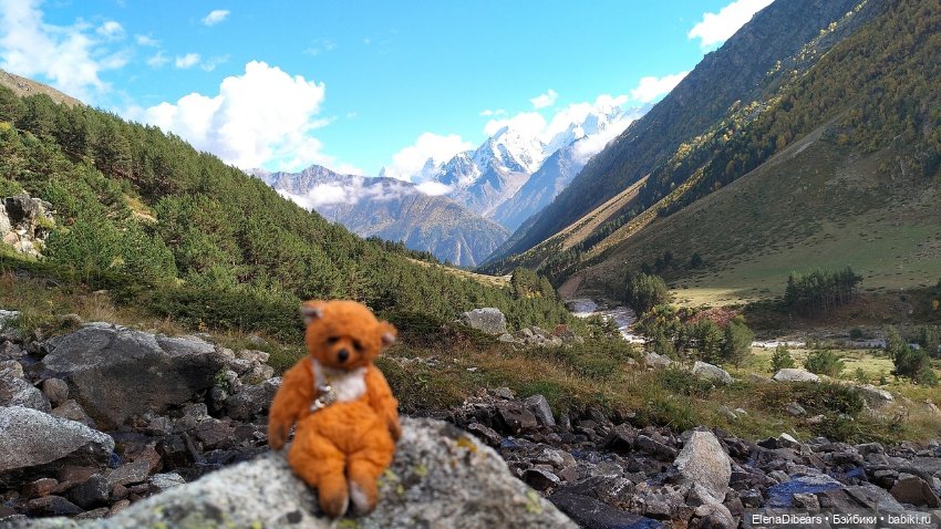 Тедди и путешествия — Авторские мишки Тедди и друзья: фото