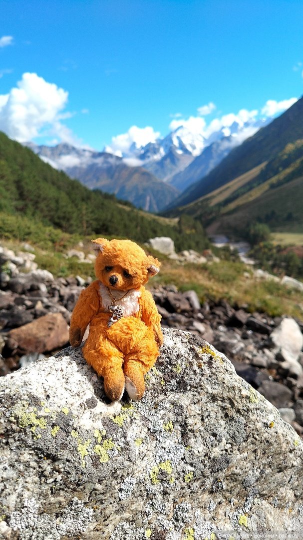 Тедди и путешествия — Авторские мишки Тедди и друзья: фото (фото 9)