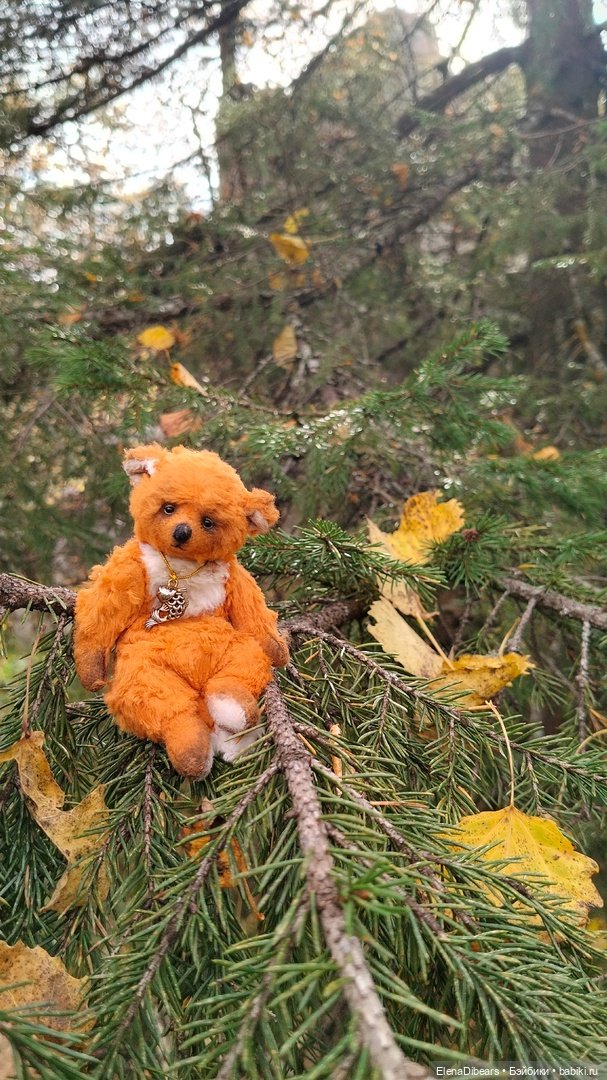 Тедди и путешествия — Авторские мишки Тедди и друзья: фото