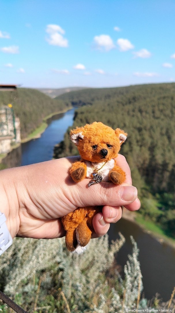 Тедди и путешествия — Авторские мишки Тедди и друзья: фото