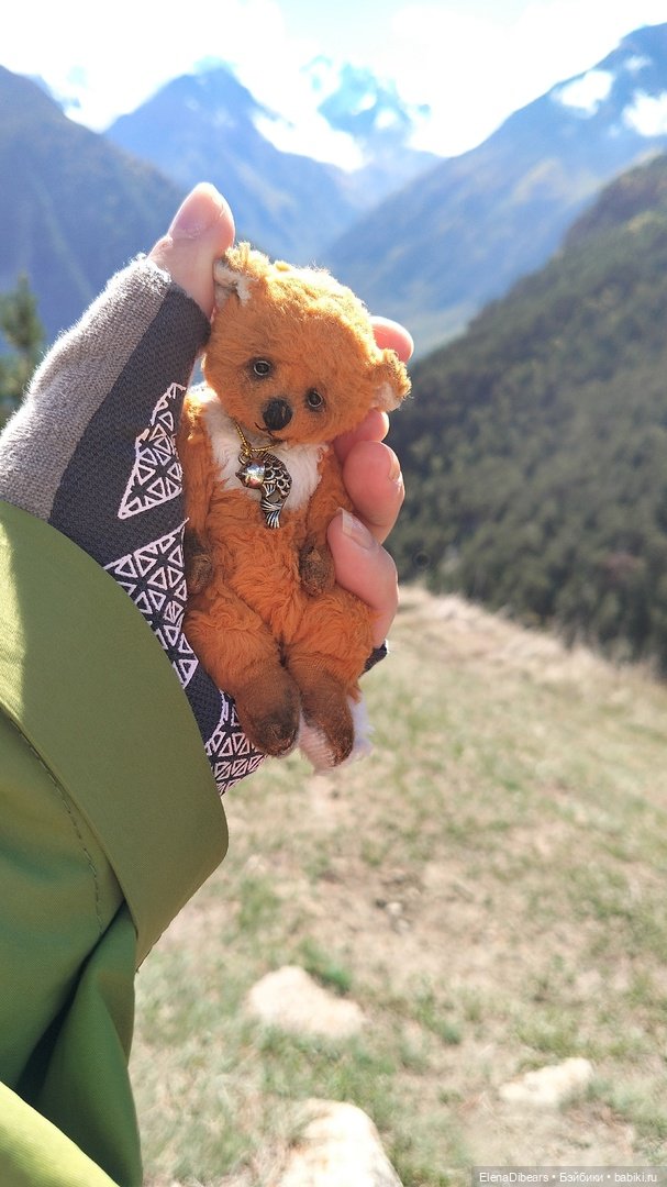 Тедди и путешествия — Авторские мишки Тедди и друзья: фото (фото 6)