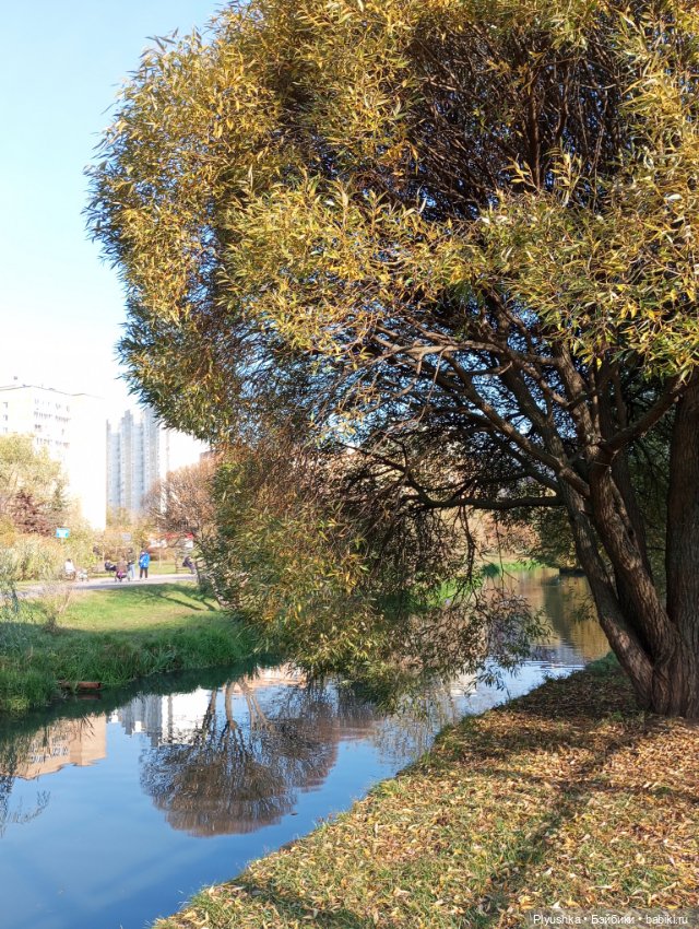 Осенняя Камелия — Игровые куклы разных производителей (Разное): редкие бренды (фото 2)