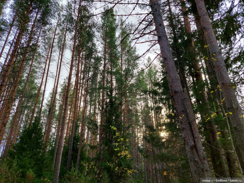 Случайная сказка — Одежда и обувь для кукол своими руками: фото (фото 9)