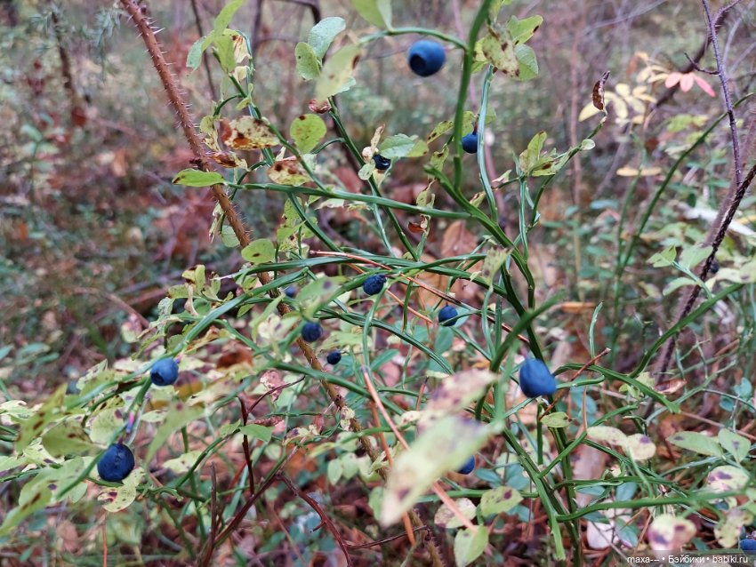 Случайная сказка — Одежда и обувь для кукол своими руками: фото (фото 5)