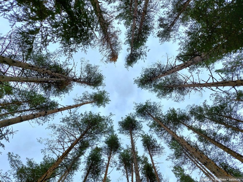 Случайная сказка — Одежда и обувь для кукол своими руками: фото (фото 3)