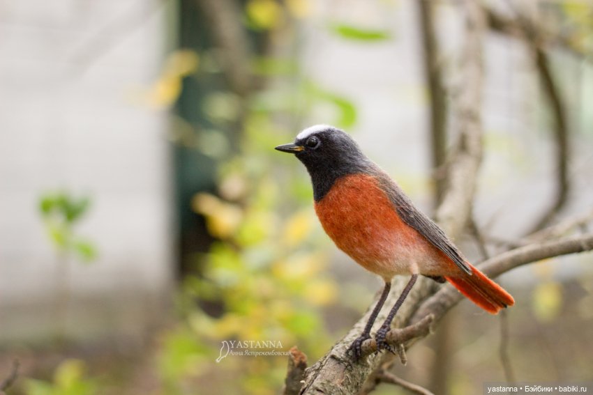 Горихвостка — Валяные игрушки из шерсти: сухое валяние (фото 3)