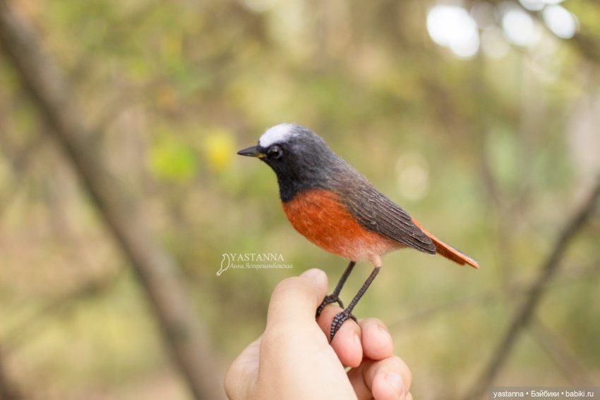 Горихвостка — Валяные игрушки из шерсти: сухое валяние (фото 8)