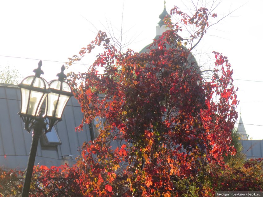 World of Love и секретное место осени в Москве (фото 3)