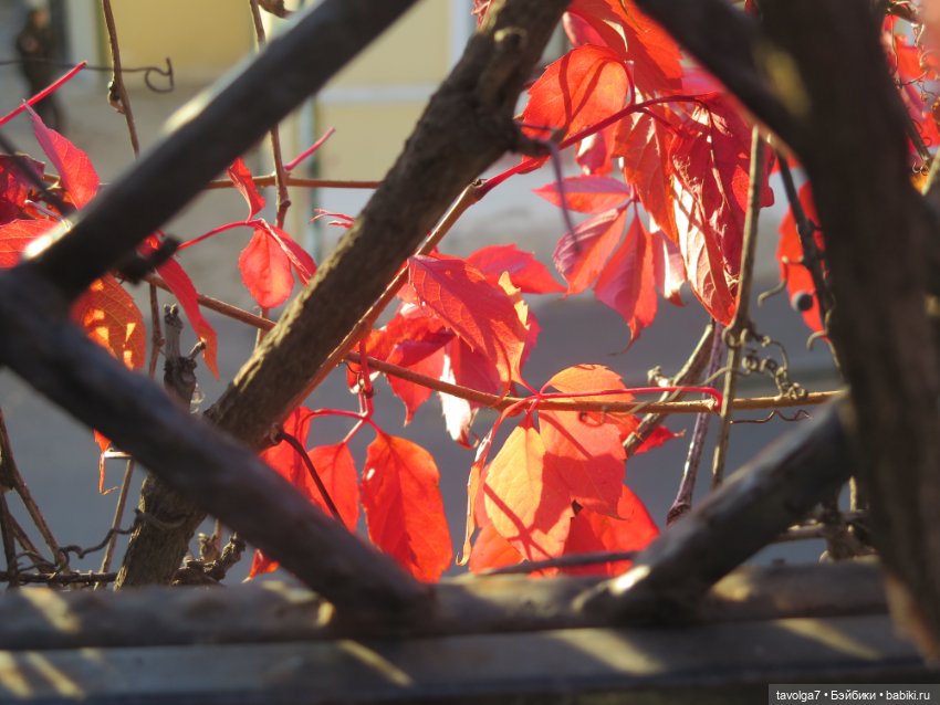 World of Love и секретное место осени в Москве