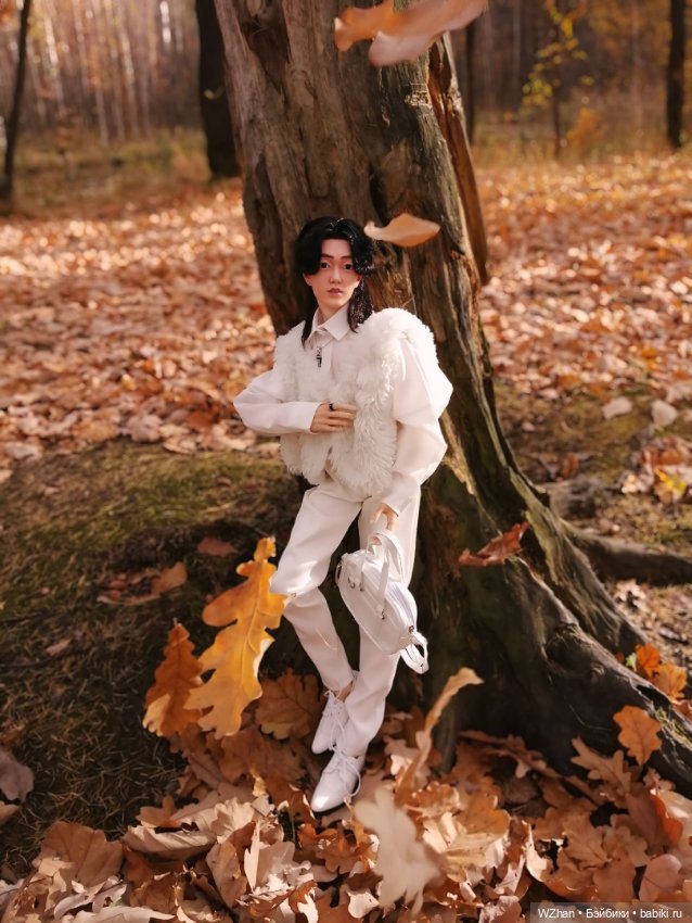 Белое облачко в осеннем лесу (фото 5)