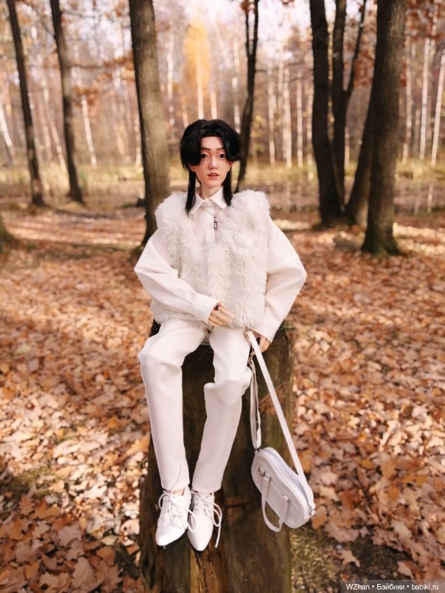 Белое облачко в осеннем лесу (фото 6)