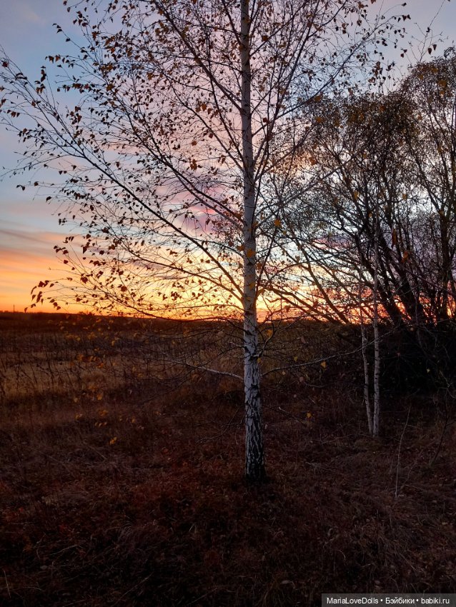 Закат осенний — Куклы Baboliy (Баболи