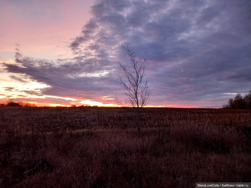 Закат осенний — Куклы Baboliy (Баболи