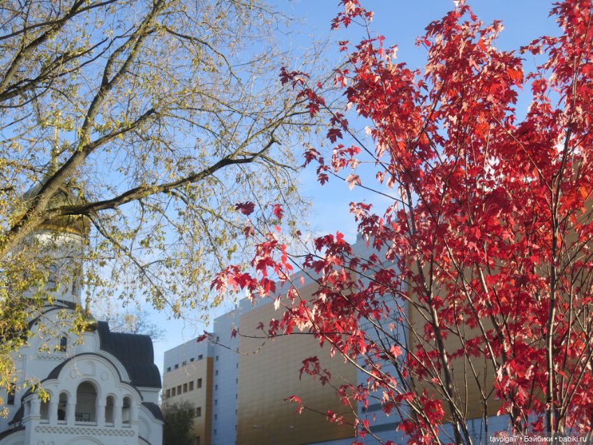 Catrinas Underworld и огненная осень (фото 3)