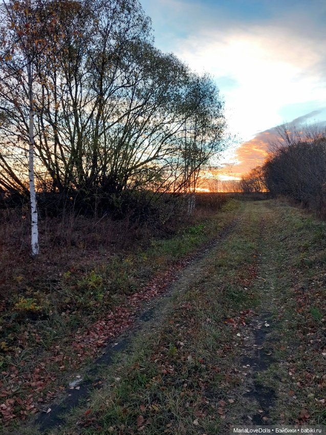 Закат осенний — Куклы Baboliy (Баболи