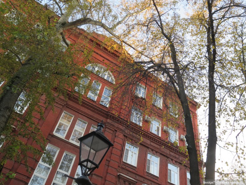 Catrinas Underworld и огненная осень