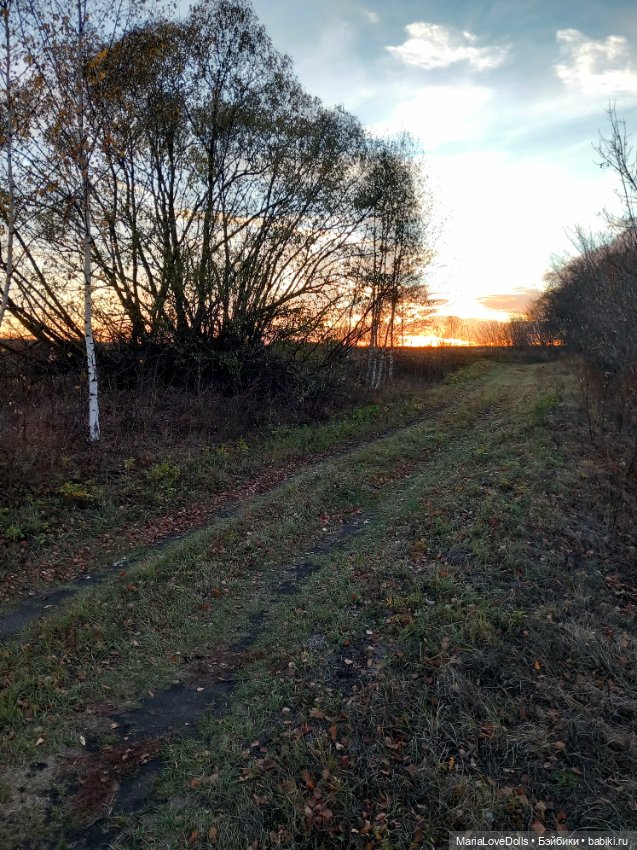 Закат осенний — Куклы Baboliy (Баболи (фото 9)