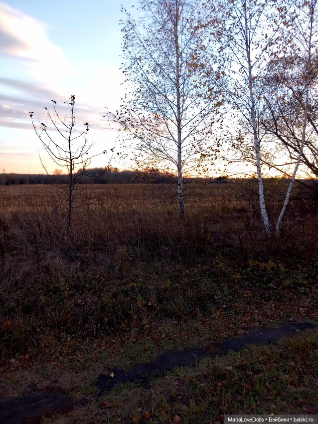 Закат осенний — Куклы Baboliy (Баболи (фото 7)
