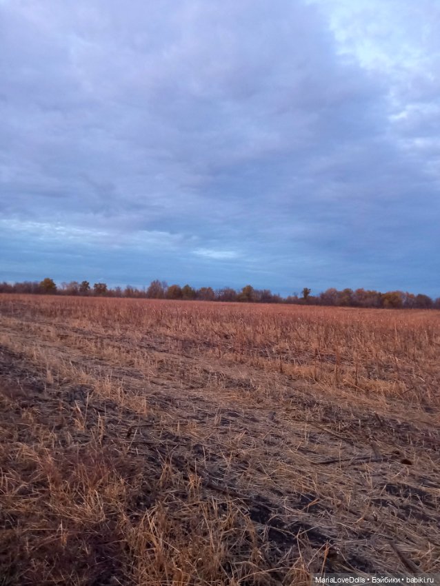 Закат осенний — Куклы Baboliy (Баболи