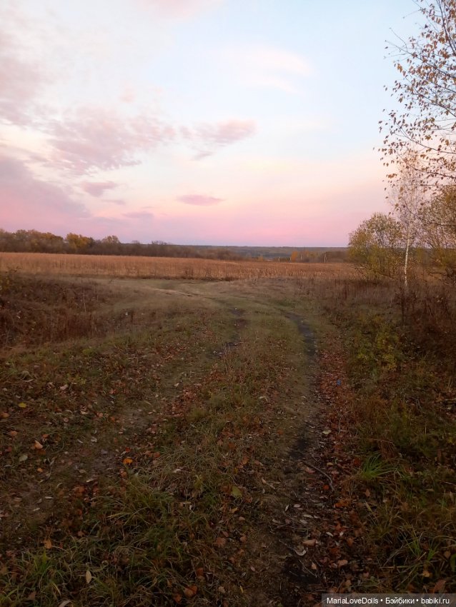 Закат осенний — Куклы Baboliy (Баболи