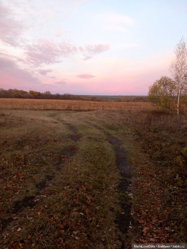 Закат осенний — Куклы Baboliy (Баболи