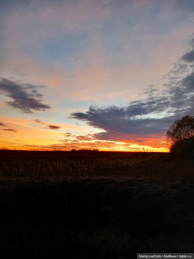 Закат осенний — Куклы Baboliy (Баболи