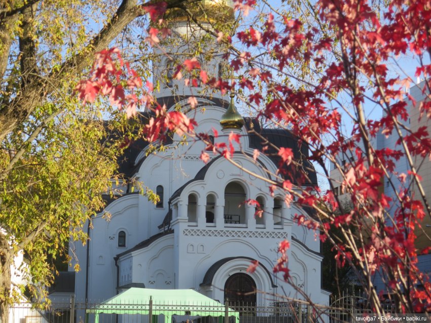 Catrinas Underworld и огненная осень (фото 4)