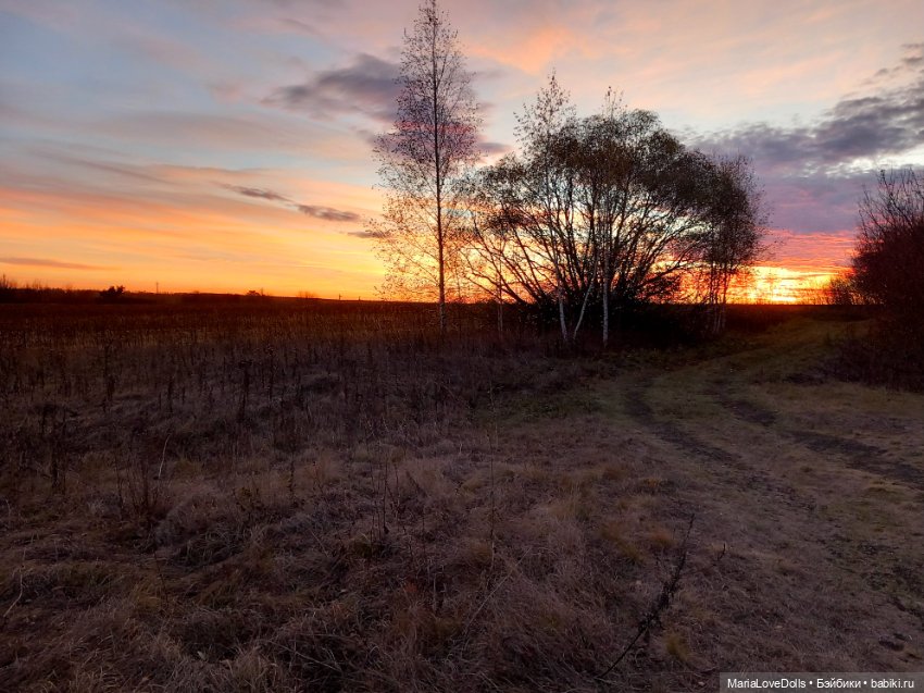 Закат осенний — Куклы Baboliy (Баболи