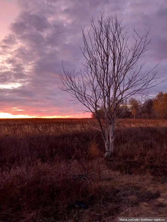 Закат осенний — Куклы Baboliy (Баболи
